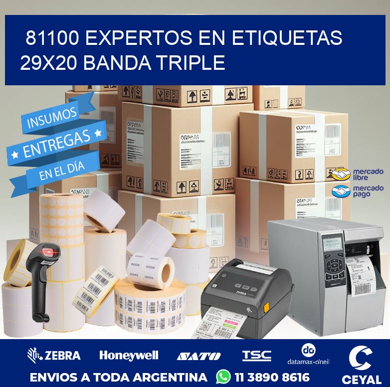 81100 EXPERTOS EN ETIQUETAS 29X20 BANDA TRIPLE
